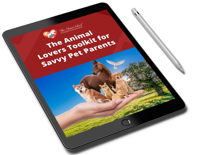 Animal Lovers Healing Toolkit for Savvy Pet Parents